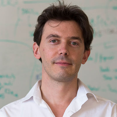Prof. Stéphane Verguet